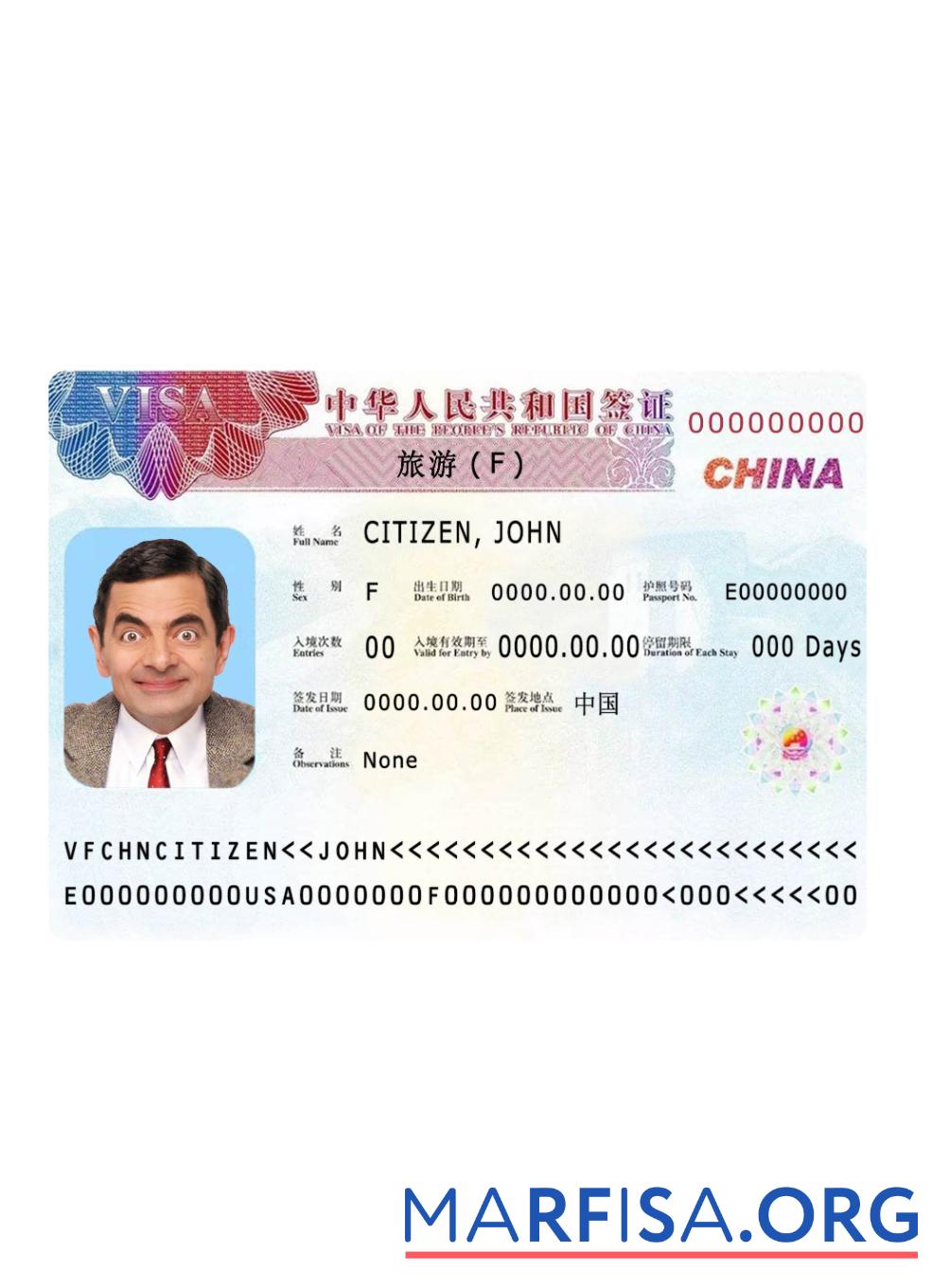 Realistic China visa 2019 present version 2 download for verification